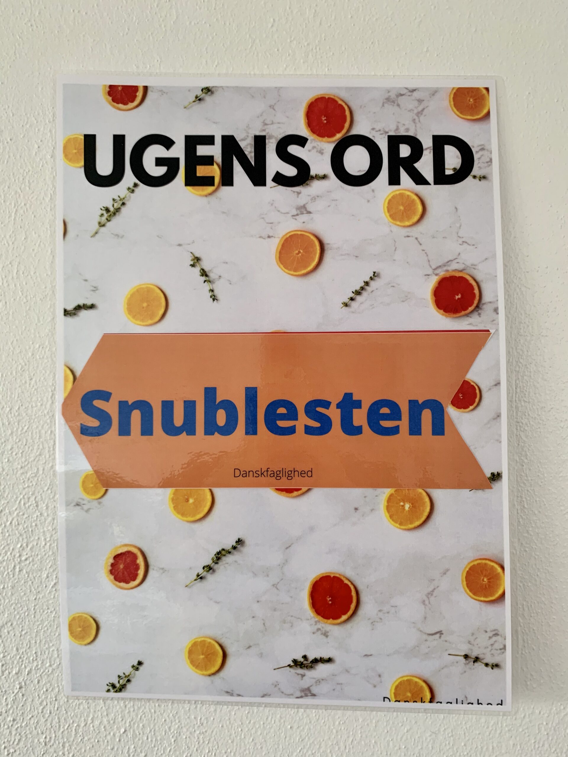 Ugens ord 1 - Billede 2