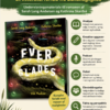 Forside til undervisningsmaterialet Everglades – Et litteraturforløb til mellemtrinnet af Sarah Lang Andersen og Kathrina Skarðsá.